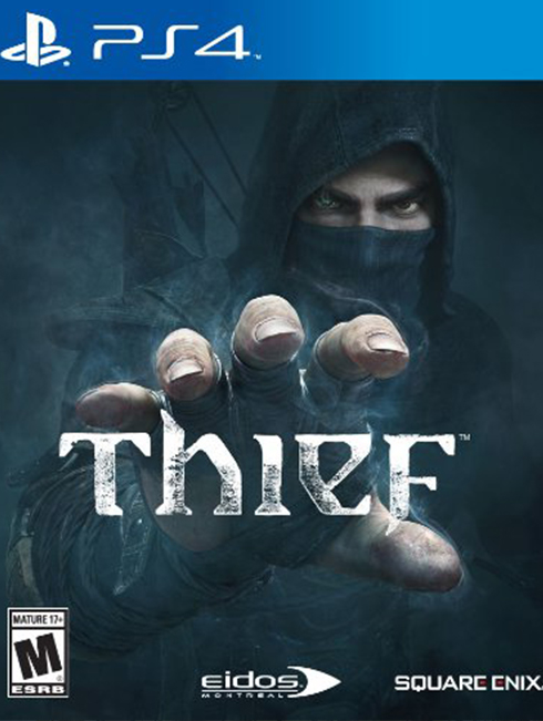 THIEF NAUDOTAS